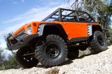 Axial Racing SCX10 Dingo RTR 1/10th Scale 4WD - 2.4ghz & AE-2 ESC